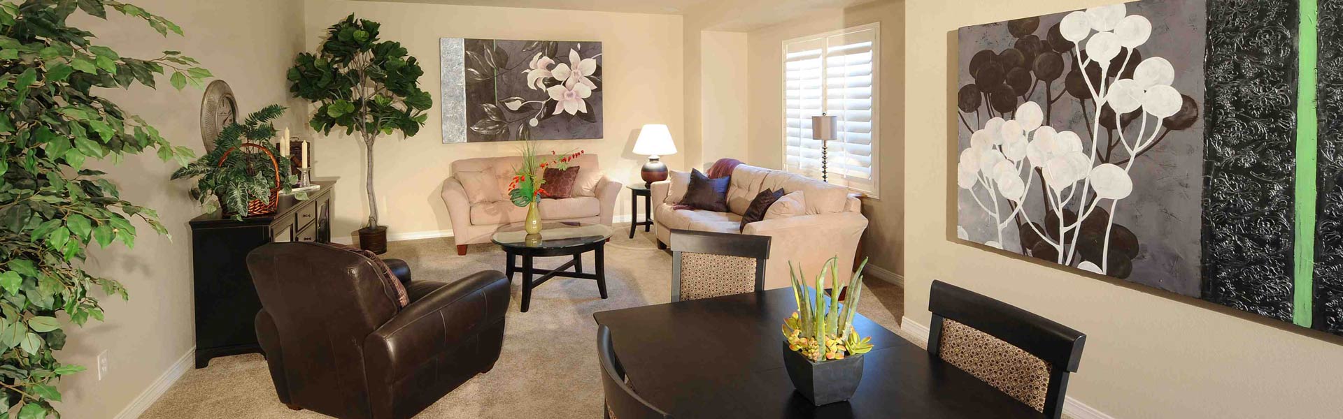 New Home Builder Campbell Homes CO Springs