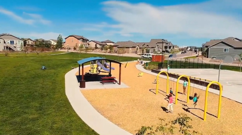 Ch Mr Playground