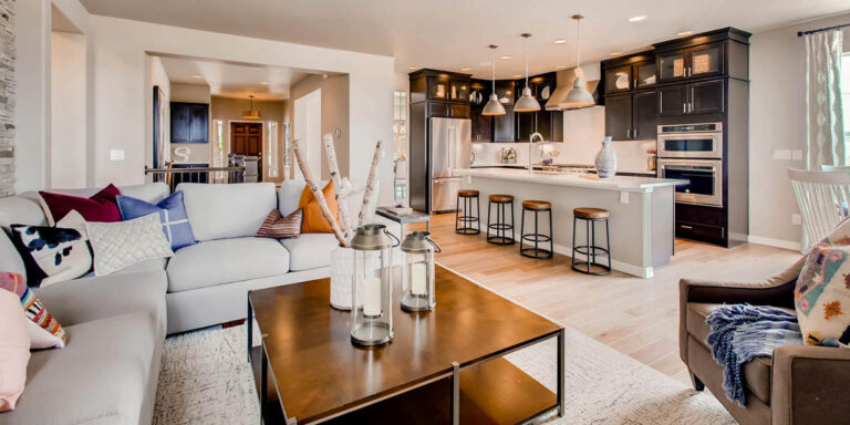 COR Model Emerson Webster Pass Court Large Living Room 1500×1000 72dpi